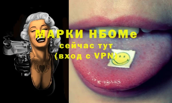 гашик Верея