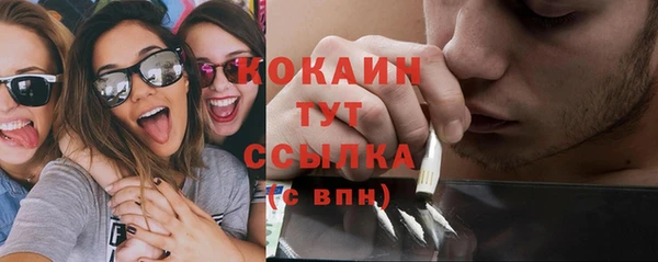 гашик Верея