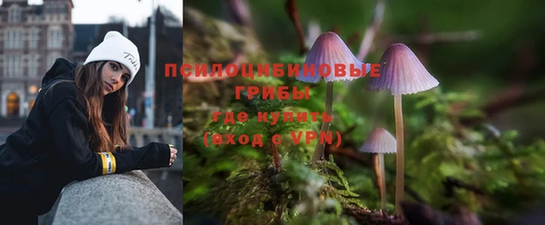 гашик Верея