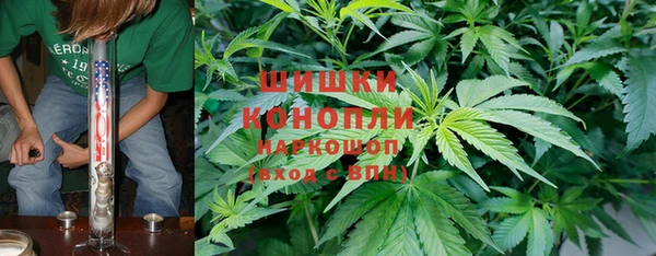 винт Бронницы