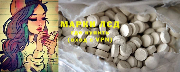 гашик Верея