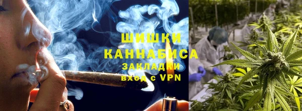 дживик Верхний Тагил