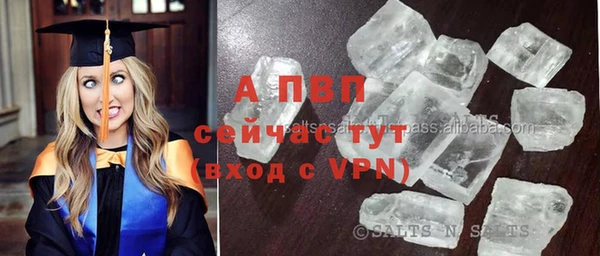 дживик Верхний Тагил
