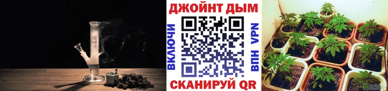 закладка Орск Бошки марихуана гибрид